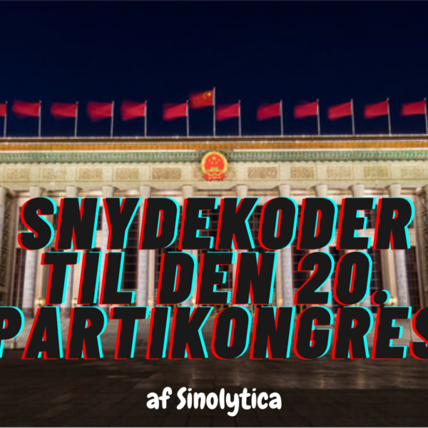 Snydekoder til den 20. Partikongres